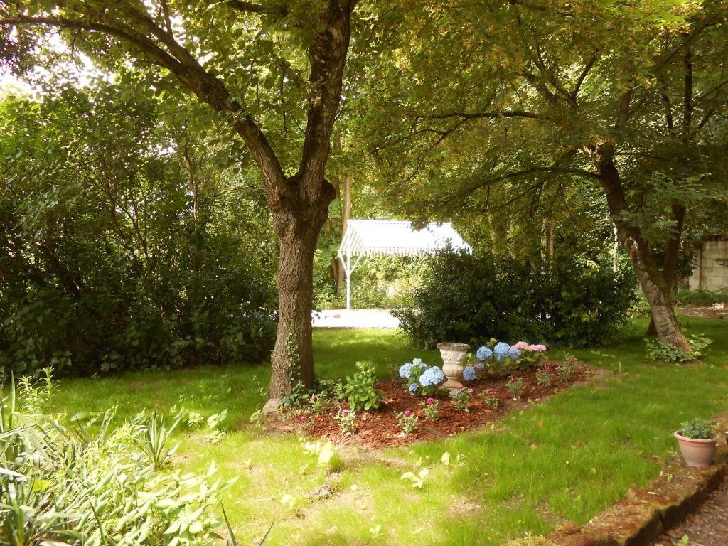 Clos Du Bois Brard B&B Saumur Exterior photo