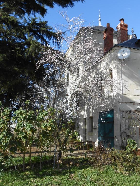 Clos Du Bois Brard B&B Saumur Exterior photo